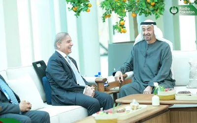 UAE commits to invest $10bn in Pakistan
