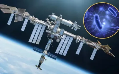 ISS study reveals viruses behave differently in space