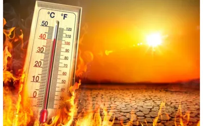 Pakistan Heatwave Alert: Temperatures Rising Beyond 50 Degrees!