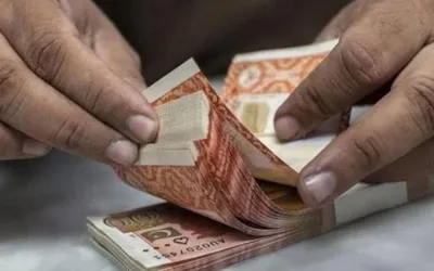 Pakistani Government Announces Triple Salary Bonus for These Employees