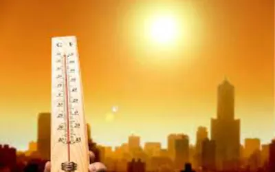 Departments to remain alert during heatwave: PDMA