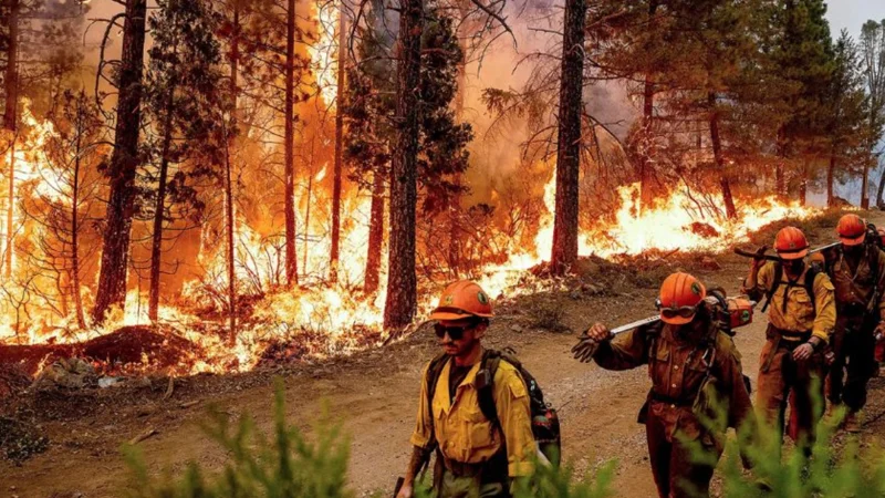 PM directs urgent actions to extinguish margalla hills fire