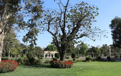 Islamabad Heatwave: Rains likely to give some relief this week