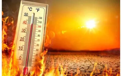 Karachi Heatwave Alert: Temperature Set to Hit 42°C Today!