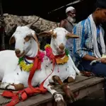 Eidul Adha 2024 likely to fall on this date