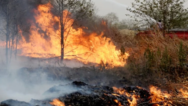 PAF, Navy supporting civic agencies to extinguish fire at Margalla Hills
