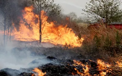 PAF, Navy supporting civic agencies to extinguish fire at Margalla Hills