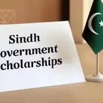 Sindh introduces 20,000 Google Career Certificate scholarships for students