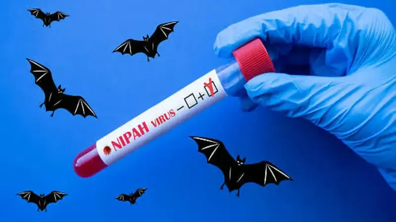 What is Nipah virus and how does it spread?