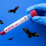 What is Nipah virus and how does it spread?