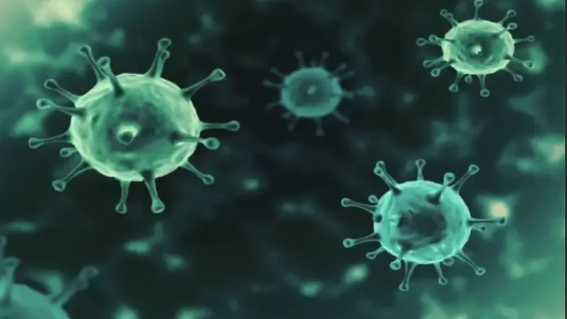 Experts warn of two emerging viruses