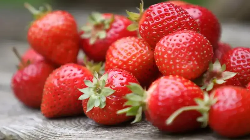 Health benefits of strawberries