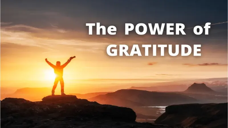 The power of gratitude in daily life
