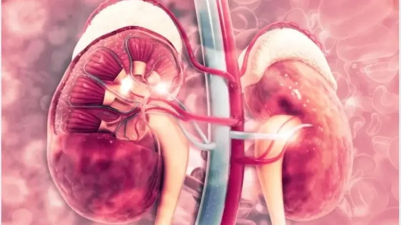 Here's everything you should know about stage 2 kidney disease