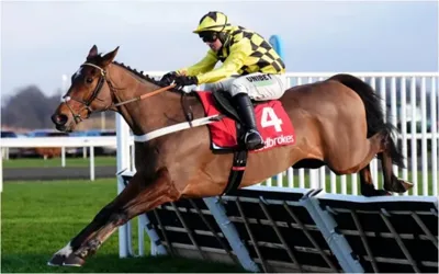 Champion hurdler Sir Gino dies after illness at age 6