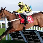Champion hurdler Sir Gino dies after illness at age 6