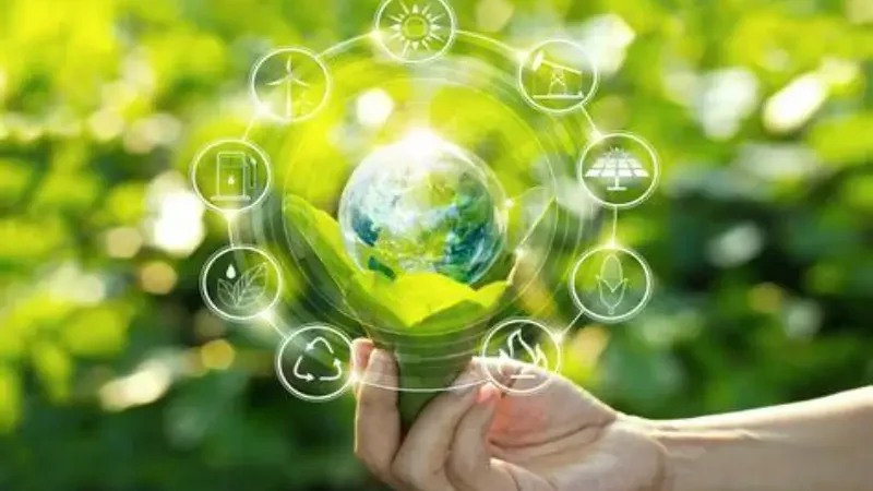 Eco-Friendly Living: Small Steps, Big Difference