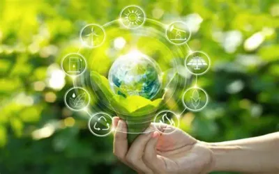 Eco-Friendly Living: Small Steps, Big Difference