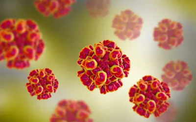 New research identifies potential treatment for hepatitis E virus