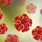 New research identifies potential treatment for hepatitis E virus