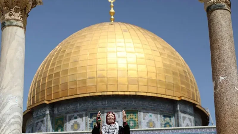 Eight Muslim countries