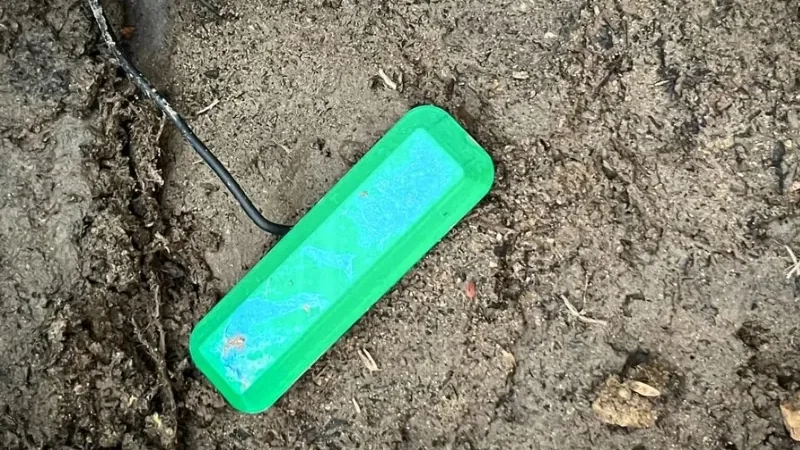 soil bacteria