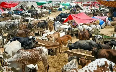 Eid-ul-Azha likely to fall on May 27: SUPARCO