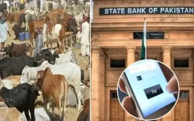 SBP launches 'Go Cashless' campaign ahead of Eid-ul-Adha