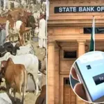 SBP launches 'Go Cashless' campaign ahead of Eid-ul-Adha