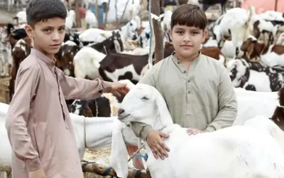 Five-day Eid-ul-Azha holidays announced for schools in Balochistan