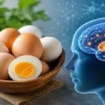 Regular egg eating helps in lower Dementia risk