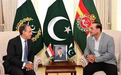 COAS, Egypt’s FM discuses new avenues of defence cooperation