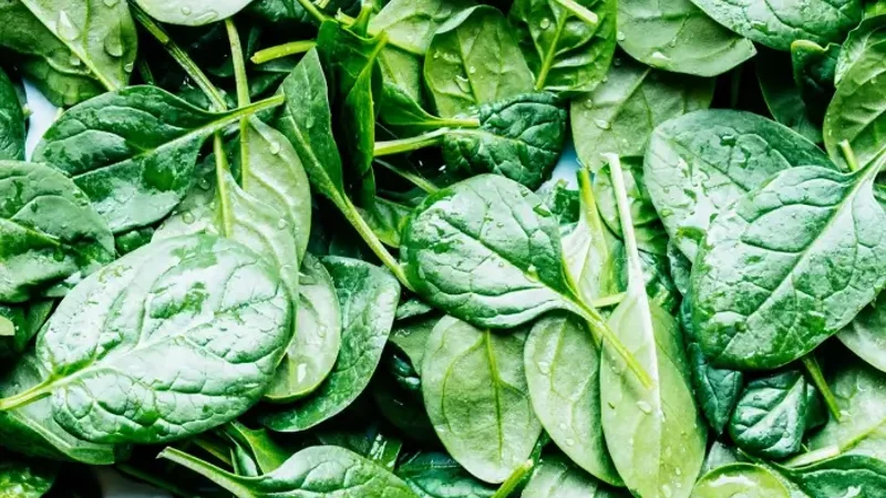 Five Health Benefits of Eating Spinach