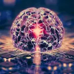 Human Brain Cells Power Next-Gen Computers Will Introduce Soon