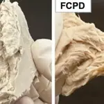 China's lab-grown fungus replaces chicken with meat-like protein