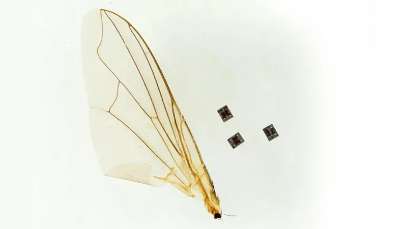 Microrobot