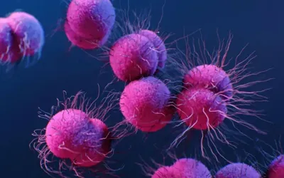 FDA approves first new antibiotics to treat gonorrhea