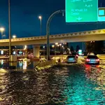 UAE weather update: Dubai Police issue safety alert to residents