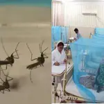 Punjab reports 48 new dengue cases in 24 hours