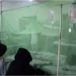 Dengue cases in Rawalpindi reach 374 as health department steps up action