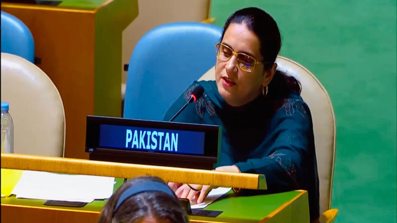 Pakistani diplomat Saima Saleem exposes India’s false narrative at UN General AssemblyPakistani diplomat Saima Saleem exposes India’s false narrative at UN General Assembly