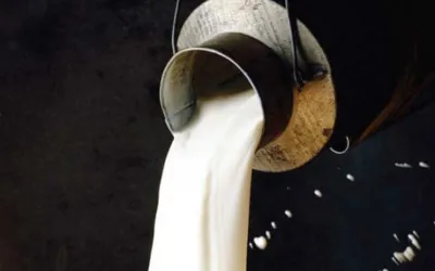 Commissioner Karachi to chair milk price review meeting on Oct 1