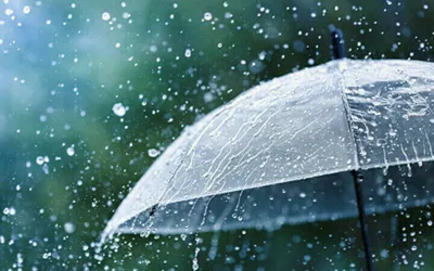 More Monsoon Rain Likely in Pakistan from August 4 to 7