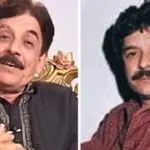 20th death anniversary of film artist Jamshed Ansari marks today