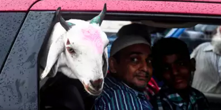 Animal Slaughter Ban in Kashmir