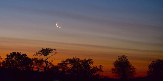 moon