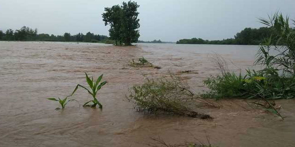 Sutlej Floods