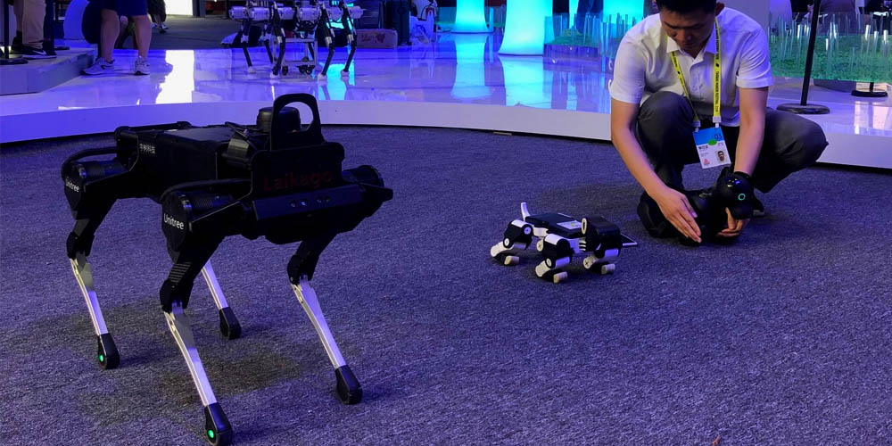 Chinese Four legged Dog robot