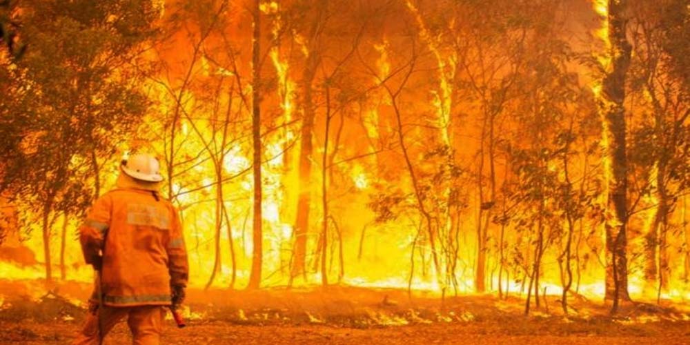 Australia spring fires ravage 80,000 hectares of land
