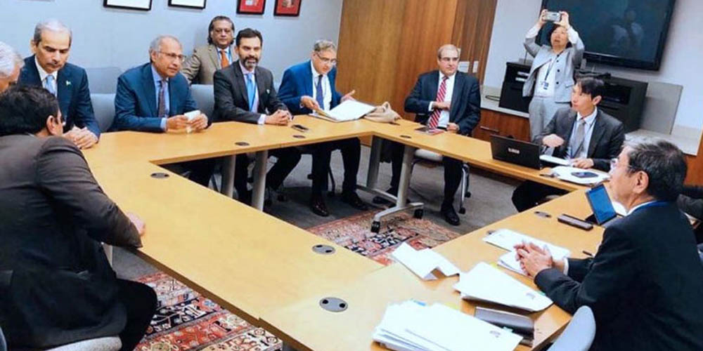 Hafeez Sheikh meets with IMF delegation